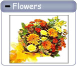 Children's Birthday special gifts