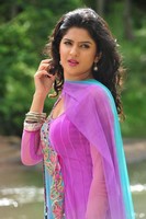 Deeksh Seth Latest Stills