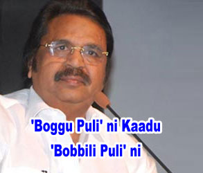 Boggu Puli
