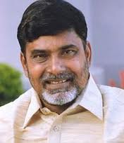 chandrababu, TDP president polls, chandrababu president elections, president elections 2012