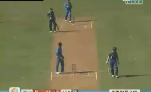 world cup cricket final match. world cup cricket updates,