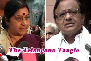 t issue in parliament, telangana issue in parliament, sushma swaraj calling attention motion on telangana, t issue discussions in lok sabha, bjp leader moves t issue in parliament, sushma swaraj p chidambaram on telangana, parilament discussion on telangana