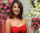 Richa nitin, nitin richa, richa gangopadhyay nitin, nitin richa gangopadhyay, nitin gautam menon, nitin premsai, nitin gautam menon movie, nitin premsai movie, nitin new movie