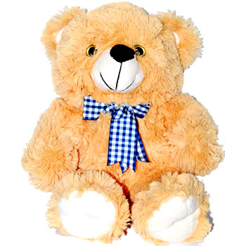 Chubby Brown bear