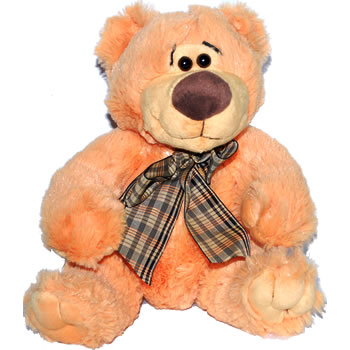 Light brown bear