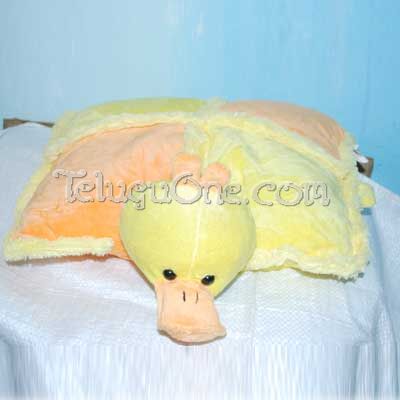 Cozy Duck #1