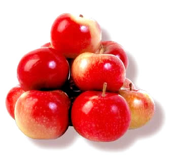 Fresh Apples