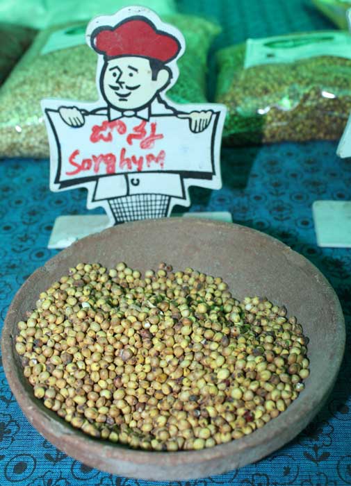 OrganicFood OrganicCerealsandPulses