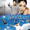 Parugu (ACD)