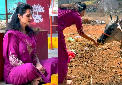 శివుడిని ధ్యానిస్తూ ఆవుకు అరటిపళ్ళు తినిపిస్తున్న గుప్పెడంత మనసు జగతి మేడం