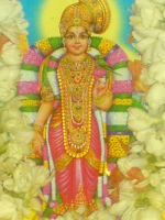 ఈ రోజు ఆండాళ్ తిరునక...