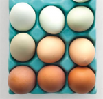 COOKING EXPIRED EGGS...