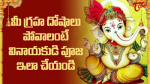 మీ గ్రహ దోషాలు పోవాల...