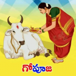 గోమాత పూజావిధానం...