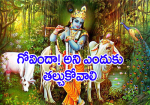 గోవిందా! అని ఎందుకు ...