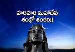 హరహర మహాదేవ శంభో శంక...