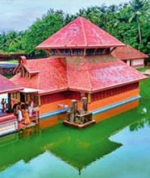 Heaven on Earth - An...