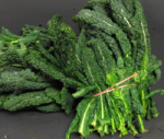 Iron Deficiency in W...