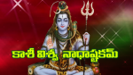 కాశీ విశ్వ నాధాష్టకమ...