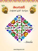 Makara Sankranthi Sp...