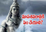 మాసశివరాత్రికి ఏం చే...