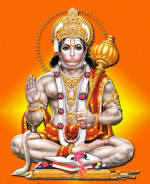 MEET THE TALLEST HAN...