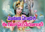 మే 22 మోహిని ఏకాదశి…...