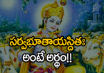 సర్వభూతాయస్థితః అంటే...