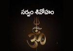 సర్వం శివోహం...