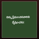 నిన్ను ప్రేమించినవార...