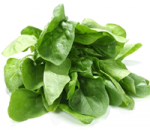 పాలకూర ఉపయోగాలు...