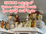 SHCCC ఆధ్వర్యంలో ఘనం...