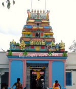 The  Origin Of The V...