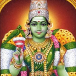 The Fish Eyed Goddes...