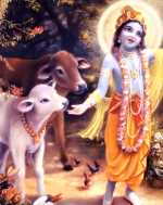 The Land Where God A...