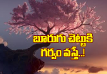 బూరుగు చెట్టుకి గర్వ...