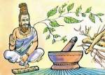 Food Conditions by S...