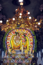 Kalpavruksha: The Wi...