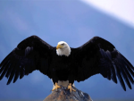 Mythological Quiz - ...