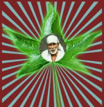 పాపాల్ని అడిగి తీసుక...