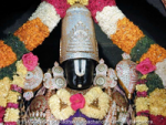 తిరుమల తిరుపతి వేంకట...