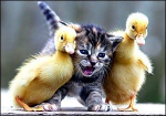 Wonderful Wonders-21...