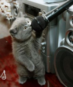 Wonderful Wonders-24...