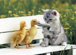 Wonderful Wonders-9...
