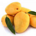 Mango Prevent Obesit...