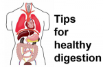 Tips For Healthy Dig...