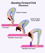 Uttanasana Yoga Pose...