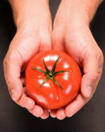 టమాటతో ఆరోగ్యం...