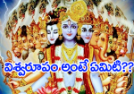 విశ్వరూపం అంటే ఏమిటి...