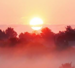 ఉదయం లేవగానే ఏం చేయా...